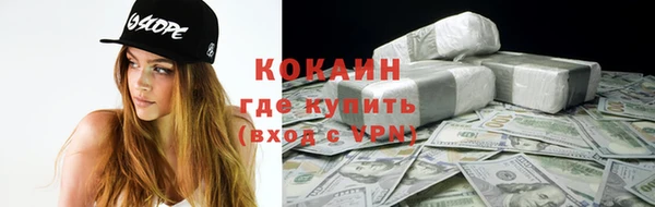 твердый Богородск