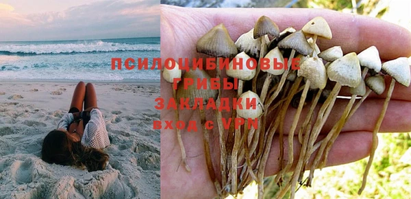 твердый Богородск