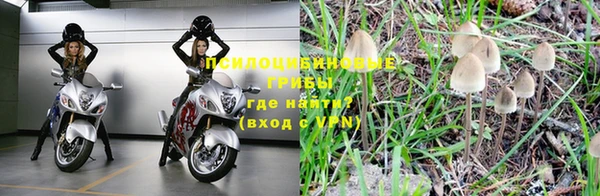 твердый Богородск
