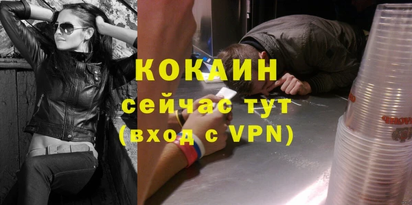 твердый Богородск