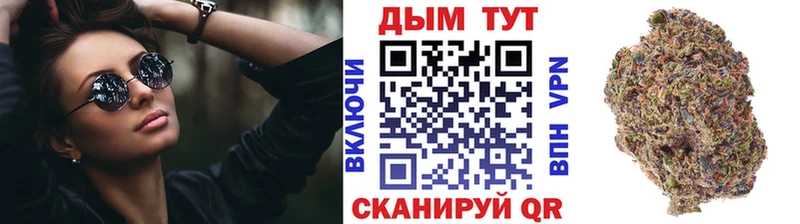 наркотики  Бийск  Каннабис индика 